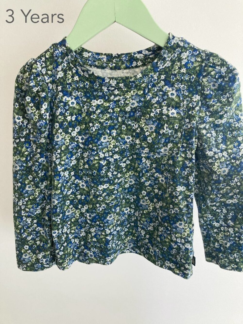 🪴5/$30 GAP 3 Years Toddler Floral Blue Green Puff Shoulder Long Sleeve Top Fall